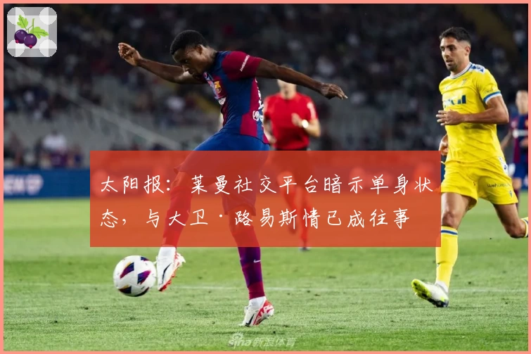 太阳报：莱曼社交平台暗示单身状态，与大卫·路易斯情已成往事