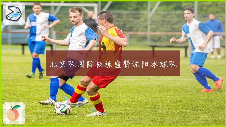 北京队国际教练盛赞沈阳冰球队