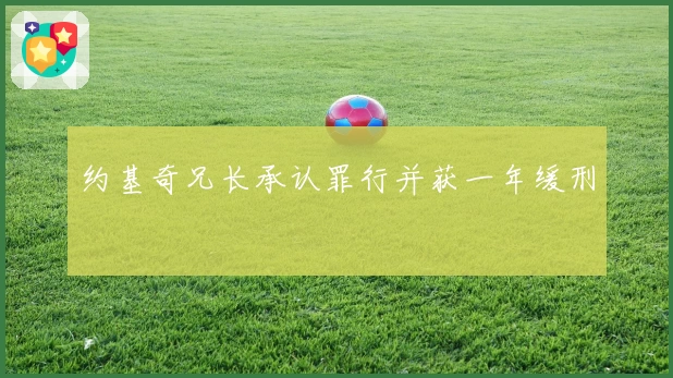 约基奇兄长承认罪行并获一年缓刑