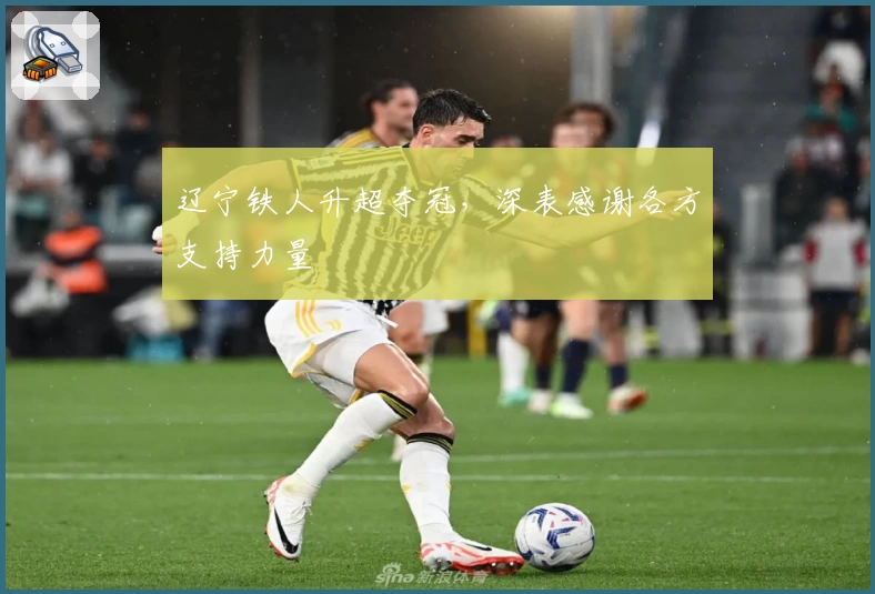 辽宁铁人升超夺冠，深表感谢各方支持力量